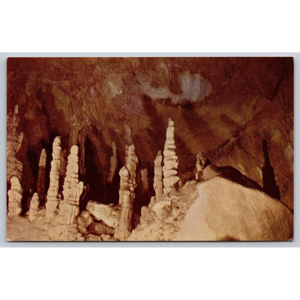 Postcard Montana Lewis & Clark Cavern Ghost Forest Cathedral Room Selithco 1790